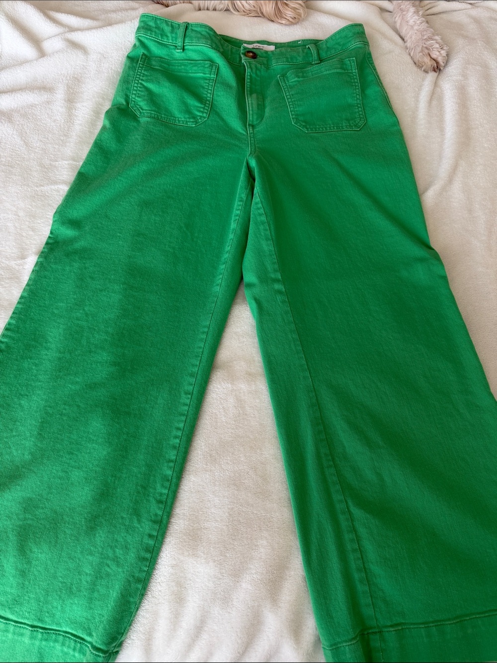 Loft Palmer Women’s Wide-Leg Jeans in Bright Green